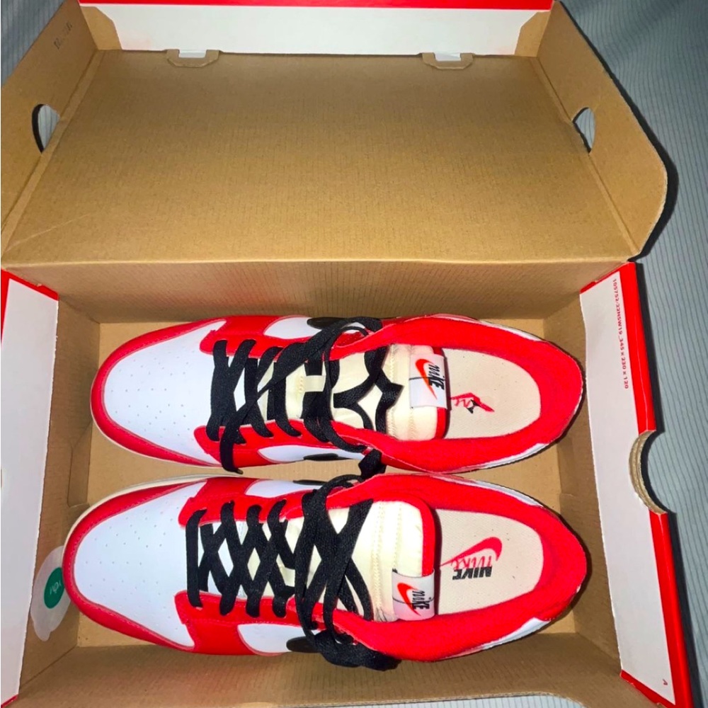 Nike dunk low Chicago split